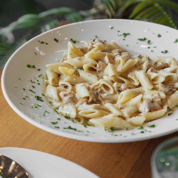 پاستا چیکن آلفردو